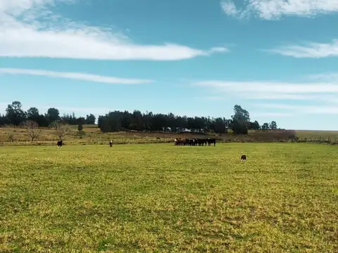 Chacra  7 Hás en Venta en San Carlos con cañada
