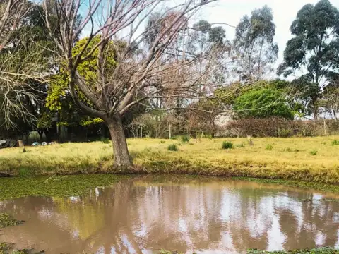 Camino vecinal de los tambos 100