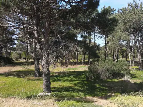 Terreno en Venta en José Ignacio, USD 500.000