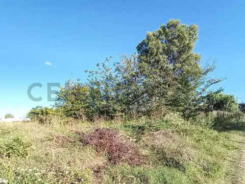 Terreno en Venta de 1000,0 m2