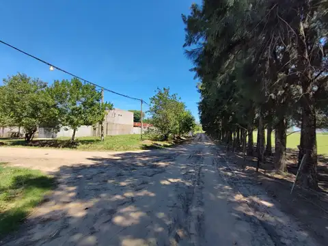 Terreno en Venta de 319,0 m2