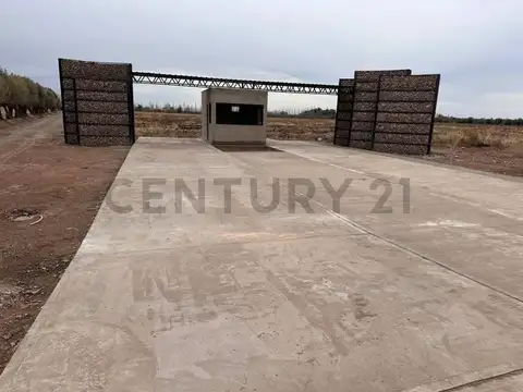 Terreno en Venta de 300,0 m2