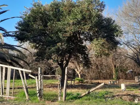 Terreno en Venta 40  mts Frente