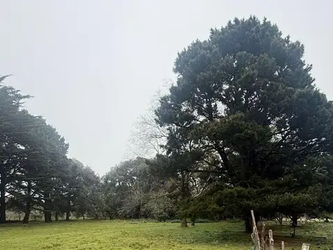 Terreno en Venta de 4000,0 m2