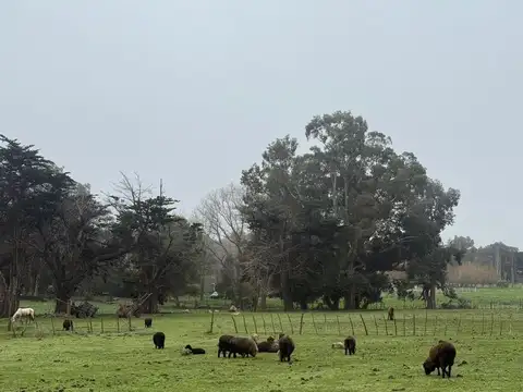 Terreno en Venta en Mar del Plata, USD 39.900