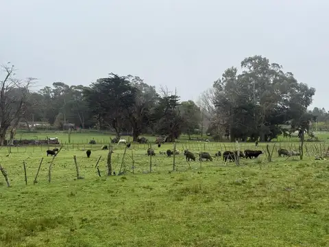 Terreno en Jorge Newbery