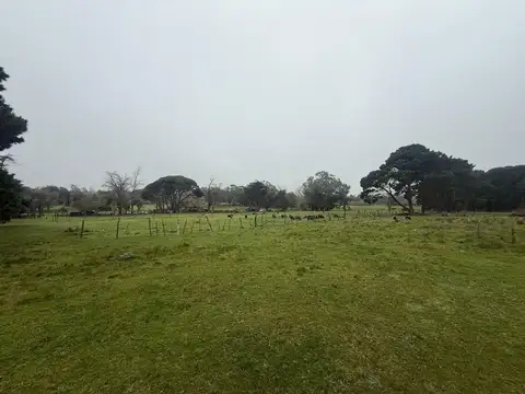 Terreno en Venta de 4000,0 m2