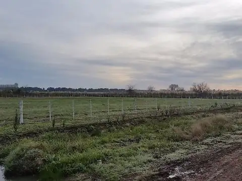 Ruta 25 7000