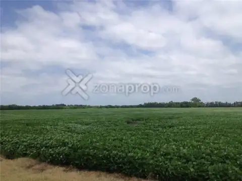 PROPIEDADES RURALES - PROPIEDADES RURALES - LAS HERAS