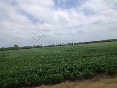 PROPIEDADES RURALES - PROPIEDADES RURALES - LAS HERAS