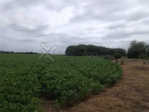 PROPIEDADES RURALES - PROPIEDADES RURALES - LAS HERAS