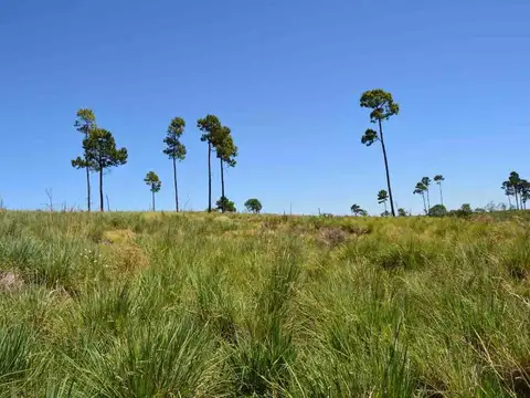 Terreno en Venta en Yacanto Calamuchita, USD 24.990
