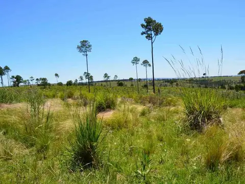 LOTE 3000m2 V.YACANTO PROMO 2 LOTES AL PRECIO DE 1
