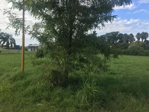 Terreno en Venta de 1339,0 m2