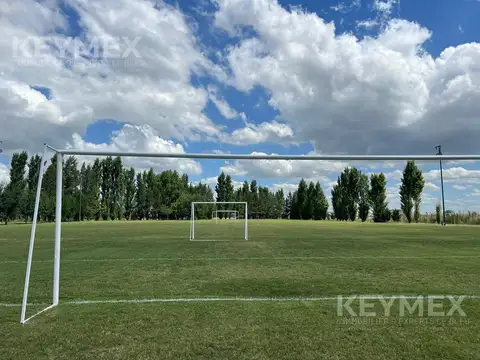 Terreno en Venta de 800,0 m2