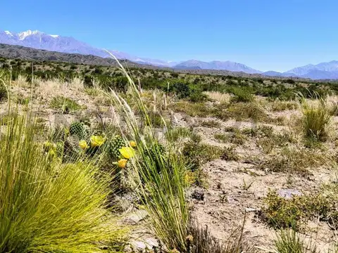 Terreno en Venta en Potrerillos, USD 7.000