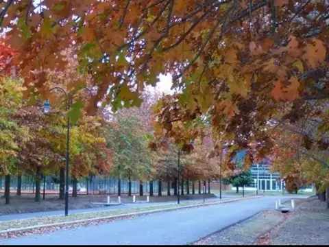 Terreno - Club Miralagos