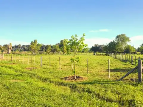 Excelente lote Parada Robles 20.000 + cuotas fijas