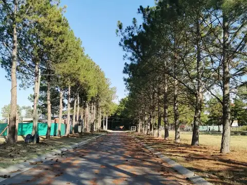 Lotes En Zelaya, Pilar Barrio Parque