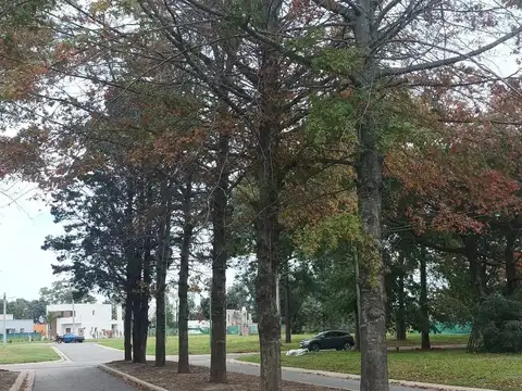 Lotes En Zelaya, Pilar Barrio Parque