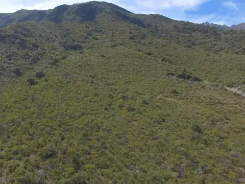 Terreno en Venta, FOS 20