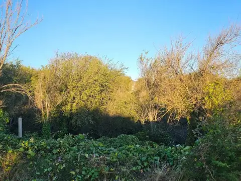 VENTA LOTE 807m² en BIALET MASSE, CORDOBA.