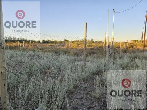 Terreno en Venta en Senillosa, $ 10.500.000