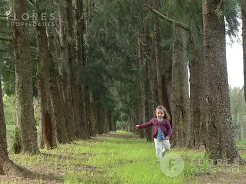 Barrio Privado La Estela, PIlar