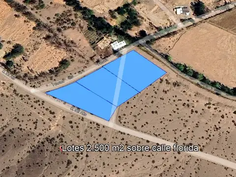 Terreno 7.500 m2 Calle Florida s/n  Barreal. San Juán