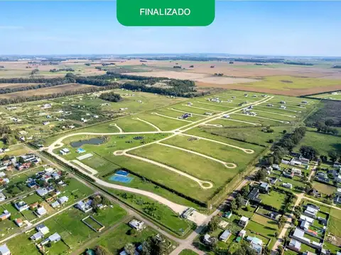 Lote 297