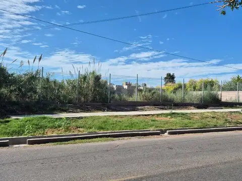 Las Cañas 800