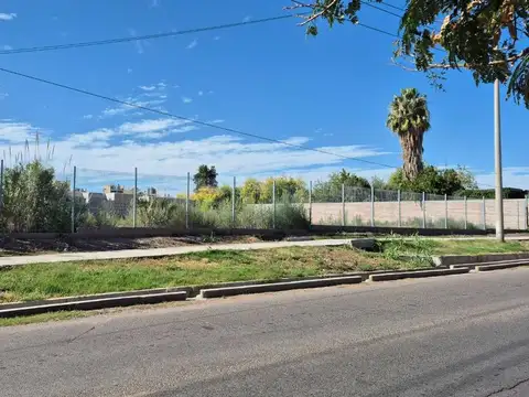 Terreno en Venta en Coronel Dorrego, USD 900.000