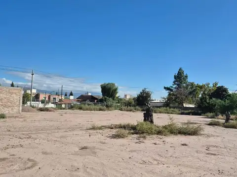 Terreno en Venta en Coronel Dorrego, USD 900.000