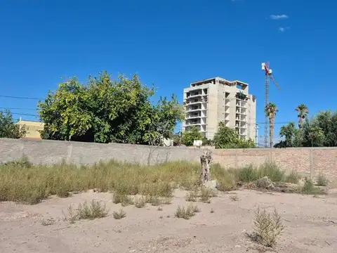 Las Cañas 800