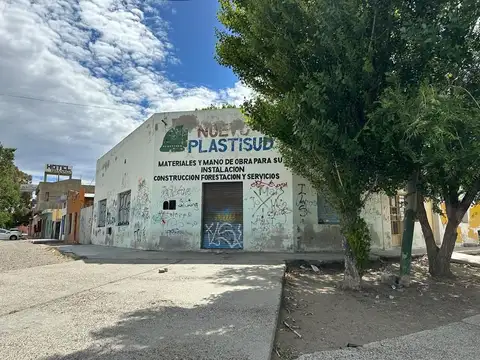 CRISTÓBAL COLÓN 100