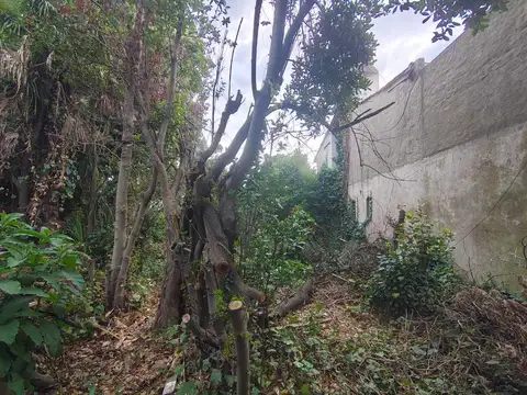 Fray Luis Beltran e Los Naranjos y Los Talas