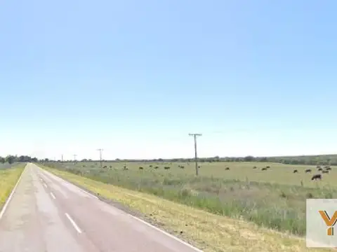 Campo en venta - 10.000.000Mts2 - General Acha