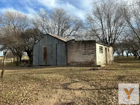 Campo en venta - 10.000.000Mts2 - General Acha