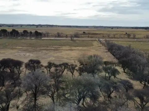 Campo en venta - 10.000.000Mts2 - General Acha