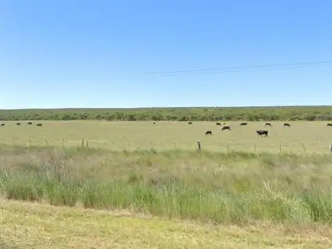 Campo en venta - 10.000.000Mts2 - General Acha