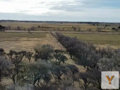 Campo en venta - 10.000.000Mts2 - General Acha