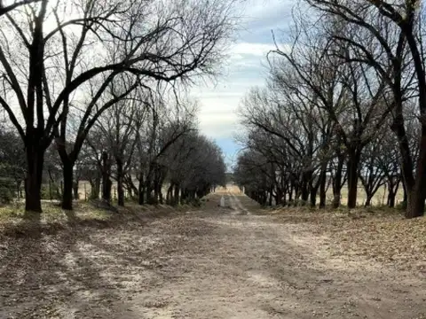 Ruta Nacional 152 - KM 40