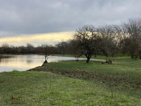 Campo ganadero en Don Cristobal