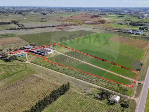 VENTA NAVE LOGÍSTICA SOBRE RUTA 5 CANELONES