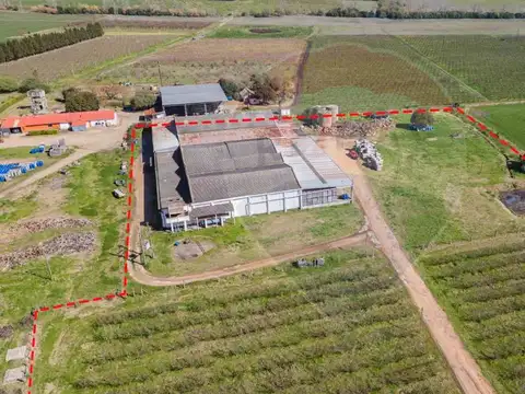 Galpon en Venta en Canelones, USD 1.500.000