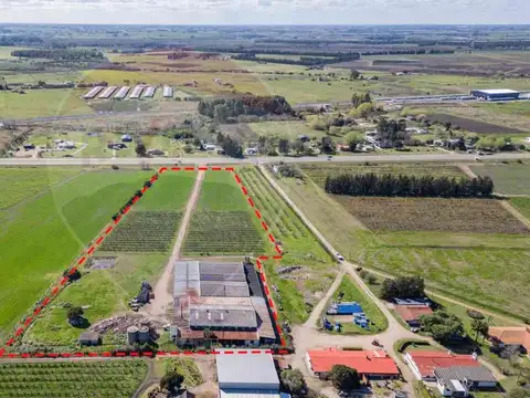 Brigadier General Fructuoso Rivera 100