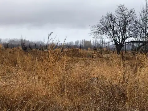 VENTA DE TERRENO UBICADO EN TUPUNGATO MENDOZA