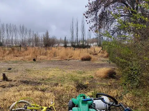 LA GLORIA al 1500 ,SAN JOSE DE TUPUNGATO, TUPUNGATO .MENDOZA