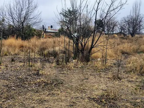 Terreno en Venta en San José de Tupungato, USD 85.000