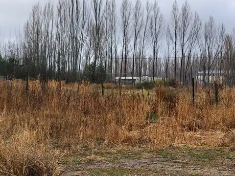 Terreno en Venta de 4962,0 m2